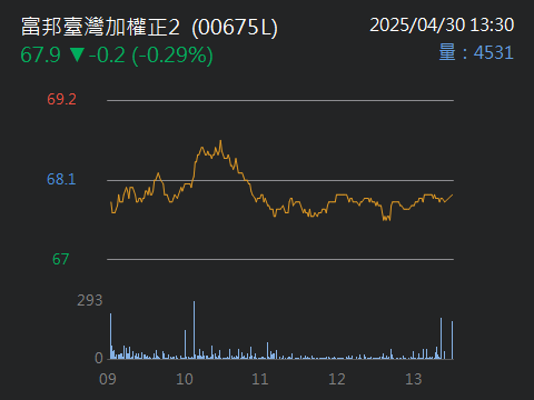 00675L富邦臺灣加權正2的討論圖片