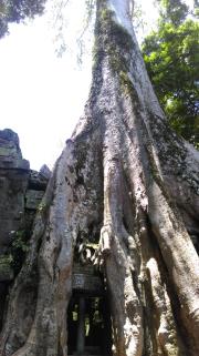 陸先生