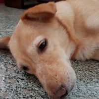D小姐