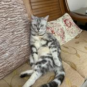 S小姐