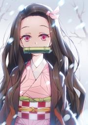 J小姐