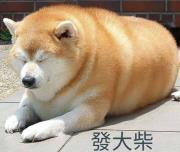 P先生