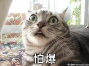 我要測試啦