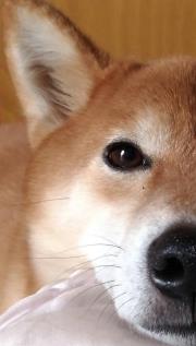 D小姐