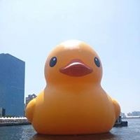 1小姐