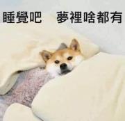 股小姐