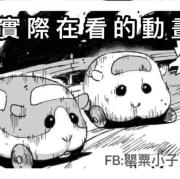 天竺鼠車車是大人看的