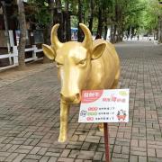 群創 3481 K線 討論區 股市爆料同學會