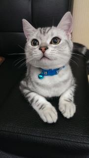 1小姐