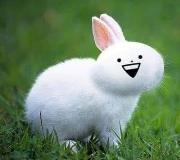 點小姐