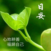 3小姐