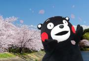 T小姐