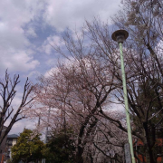 A先生