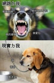 天小姐